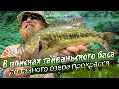 Видео: ВСЁ РАДИ БОЛЬШЕРОТОГО! Как поймать баса на Тайване?