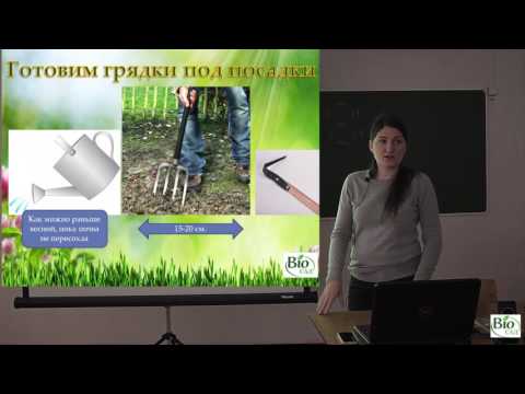 Видео: Минимальная обработка почвы