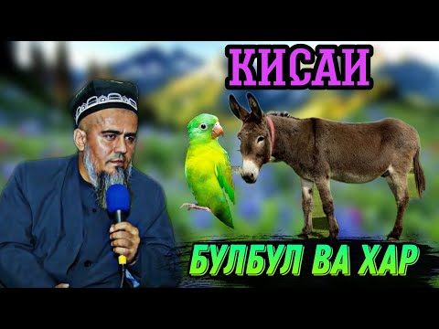 Видео: АЧОИБ КИСАИ ХАЁТИ БУЛБУЛ ВА ХАР! ДОМУЛЛО АБДУРАХИМ НАВ 2021