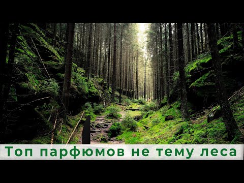 Видео: Топ парфюмов на тему леса