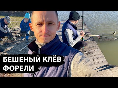 Видео: Форель клюёт на червя как бешеная, приучаем ребенка к садику, готовимся к клубничному сезону