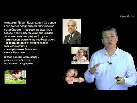 Видео: Дубынин В. А. - 100 часов школьной биологии - 1.25. Потребности и эмоции