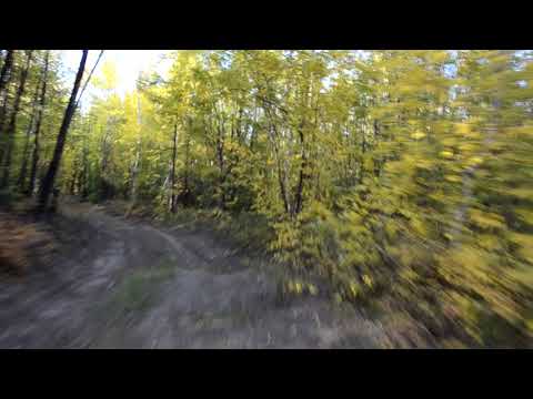 Видео: Куьунну тыа5а айан. "Куьуну таптыыбын"-ыллыыр Байбал Сэмэнэп