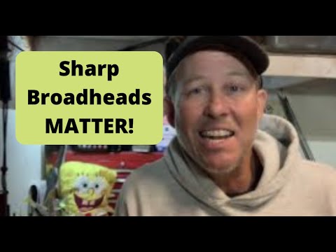 Видео: Почему острые наконечники так важны! l Ranch Fairy
