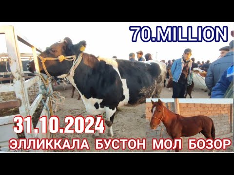 Видео: 31 октября 2024 ЭЛЛИККАЛА БУСТОН МОЛ БОЗОР НАРХЛАР УЗГАРДИ