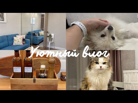 Видео: 🛍️ЭСТЕТИЧНЫЕ ПОКУПКИ ДЛЯ КУХНИ/ВКУСНЫЕ БЛЮДА/УБОРКА В ГОСТИНОЙ/ПРО РУТИНУ