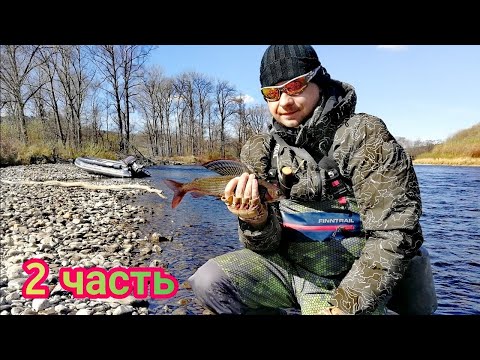 Видео: Рыбалка на горных реках Хор-Чуи (2 часть), хороший клев хариуса, ленка. "River Trout Fishing"
