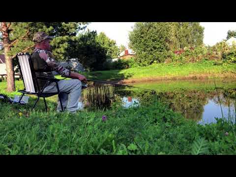 Видео: РЫБАЛКА ИЗ ДЕТСТВА | ЛОВИМ КАРАСЯ НА ПОПЛАВОК 🎣 | ПРУД У ДОМА | #рыбалка #fishing #природа #пруд