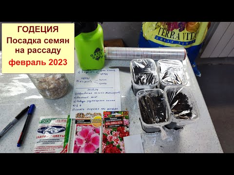 Видео: #Годеция. Посадка семян на рассаду в домашних условиях. 5 основ для удачной рассады. Февраль 2023.