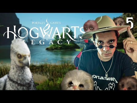 Видео: Прохождение Hogwarts Legacy Русская озвучка ПРИРУЧАЕМ ЖМЫРОВ И ПУШИШЕК #5