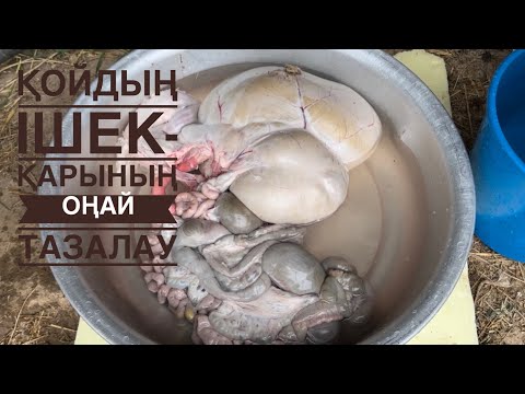 Видео: Қойдың ішек-қарының аршудың ЕҢ ОҢАЙ ЖОЛЫ!