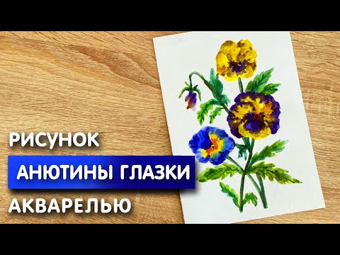 Видео: Как нарисовать анютины глазки карандашом и акварелью начинающим | Рисунок для детей