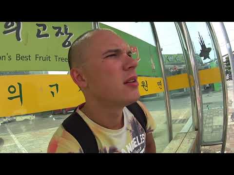 Видео: Первые рабочие будни в Корее 2