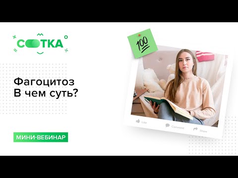 Видео: Фагоцитоз. В чем суть? | БИОЛОГИЯ ЕГЭ | СОТКА