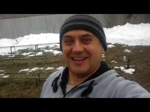 Видео: 🌻🌺 ЭКСКЛЮЗИВНЫЕ ПОДСТАВКИ ДЛЯ УЛЬЕВ ОТ PZELKI, ПРОВЕРЕННЫЕ И НАДЁЖНЫЕ 🌻🌺