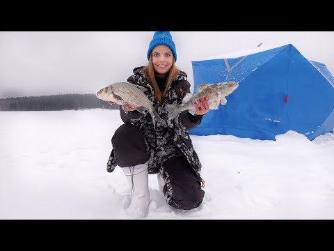Видео: РЫБАЛКА С НОЧЕВКОЙ НА ЛЬДУ. Судак на жерлицы, ловим леща и окуня.