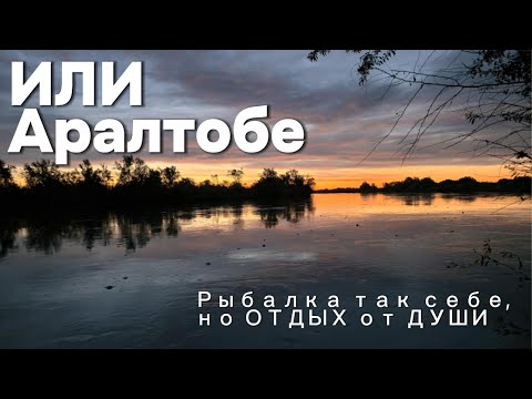 Видео: Рыбалка на реке ИЛИ, район Аралтобе... Не много Рыбы но как всегда МОРЕ эмоций!!!