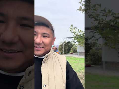 Видео: 05.10.2025. Рахима апамыздың қырқына келіп, атсалысып, нағашылардың Астанаға қайтуы