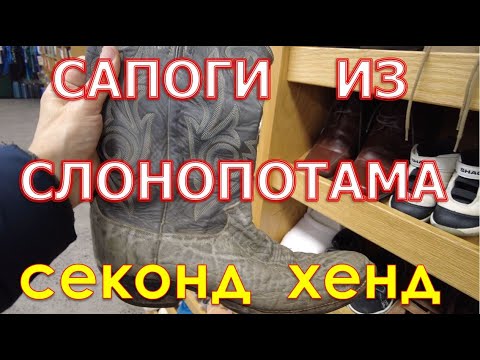 Видео: Поиск ценных вещей в секонд хенде Гудвил. США