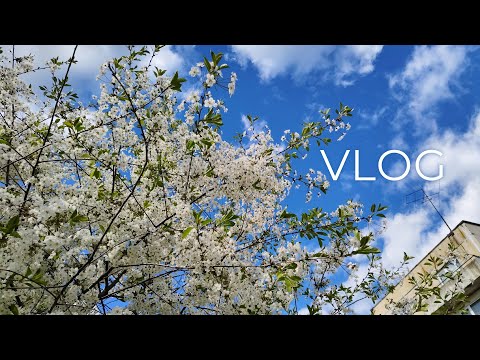 Видео: art-vlog / оформление всякого, немного покупок, немного прогулок и болтовня про театр