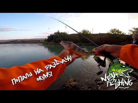 Видео: Рыбалка на Егорлыкском канале (Стрелка) Попали на раздачу окуня!!!