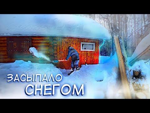 Видео: Пробиваюсь до избы после снегопадов | Доски для баньки из-под пилы