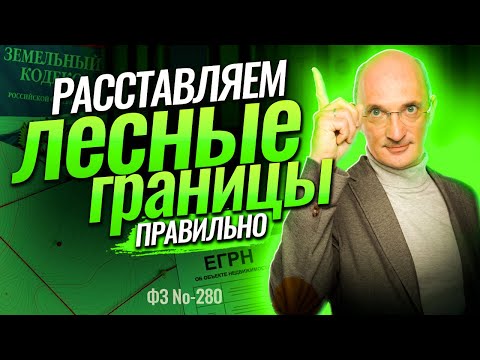 Видео: Наложение земель лесного фонда. Лесная амнистия. Приоритет ЕГРН перед лесным  реестром