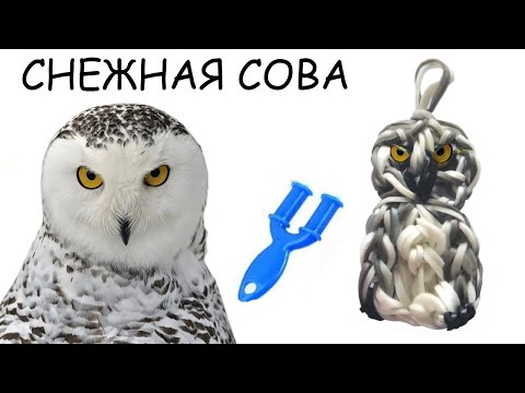 Видео: СНЕЖНАЯ СОВА из резинок на рогатке без станка OWL Rainbow Loom