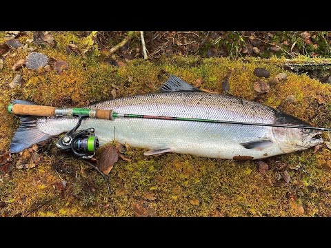 Видео: Рыбалка на Кольском. Терский берег.