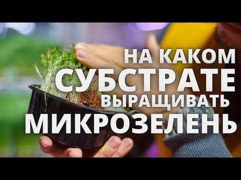 Видео: микрозелень обзор  субстаратов выращивания Кокосовый , льняной и агровата микрозелень подсолнечника