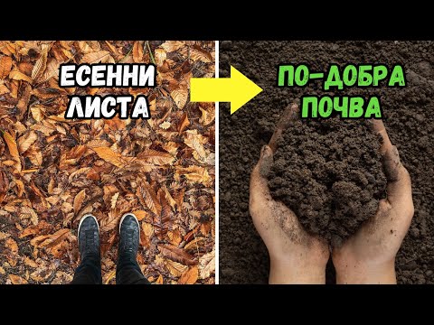 Видео: Не изхвърляй есенните листа – превърни ги в ЗЛАТО за почвата!