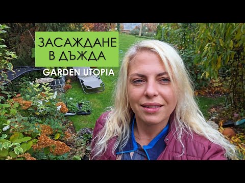 Видео: Засаждането продължава