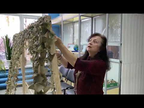 Видео: Плетение маскировочных сетей