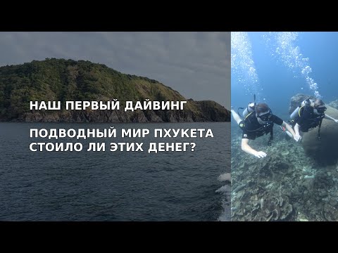 Видео: Дайвинг на Пхукете 🐠 Рай под водой! | Наш опыт и цены