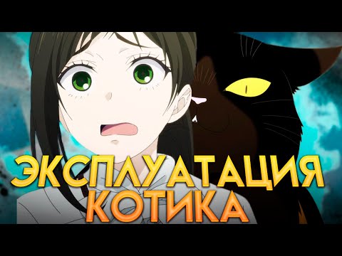 Видео: Безыдейный Кот мастер на все лапки