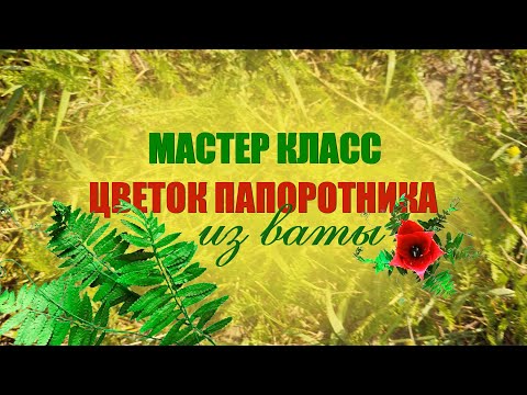 Видео: Мастер класс  - Цветок папоротника из ваты