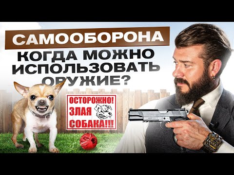 Видео: Применение оружия в целях самообороны. Когда это законно?
