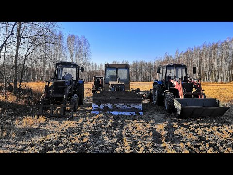 Видео: Ввод залежных земель в оборот. Раскорчёвка ДТ-75.