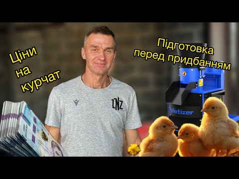 Видео: "Як я готуюсь до курчат: Виготовлення корму та підготовка брудера"