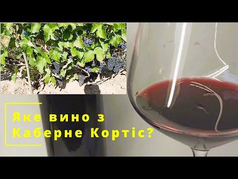 Видео: Огляд на червоне сухе вино з винограду Каберне Кортіс