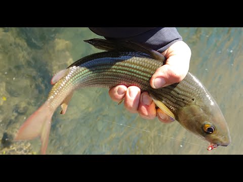 Видео: Путешествие по р.Каа-Хем (п.Ужеп -Уш Бельдир) октябрь 2021г.