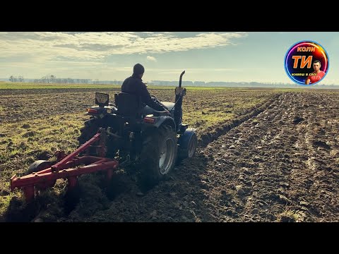 Видео: Загнав ДТЗ 5354нрх на цілину з плугом 3-25🔥