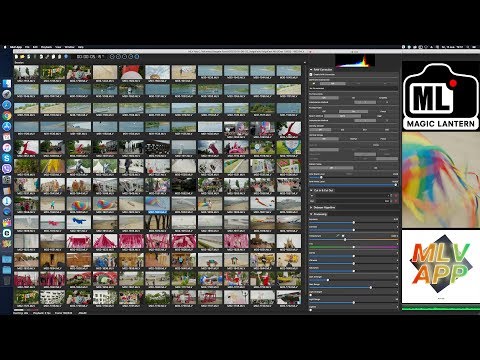 Видео: MLVApp: Подробный обзор программы
