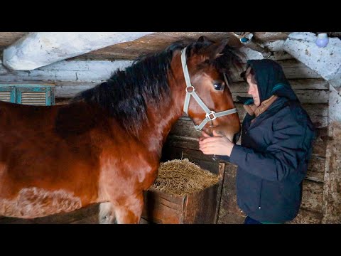 Видео: Тяжелая жизнь бабушки в высокогорной деревне зимой. Жизнь в тяжелых природных условиях