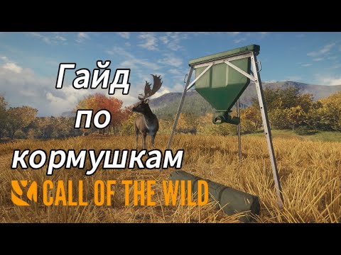 Видео: Обзор новых кормушек в theHunter: Call of the Wild