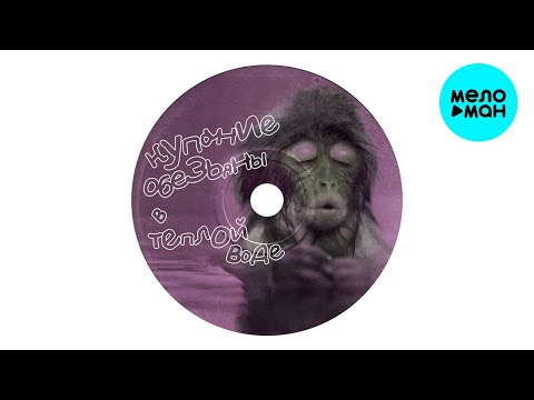 Видео: Купание обезьяны в тёплой воде - Сердце и г. (Single 2023)