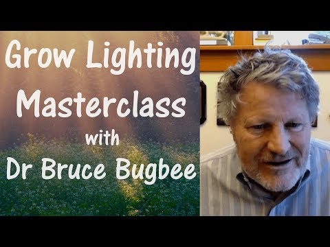 Видео: Мастер-класс по освещению растений с доктором Брюсом Багби — обсуждение спектра освещения растений