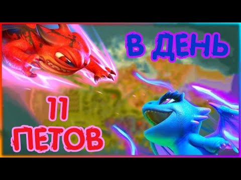 Видео: 11 (13) ПИТОМЦЕВ В ДЕНЬ 🦖 Call of Dragons