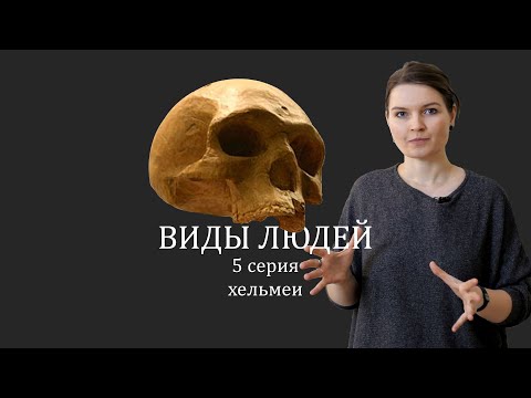 Видео: ВИДЫ ЛЮДЕЙ. 5 серия Хельмеи. Елена Сударикова