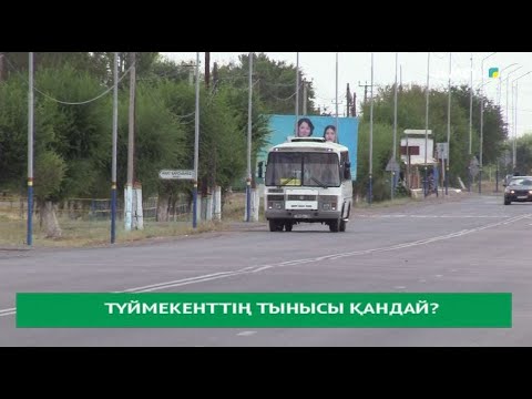 Видео: Түймекенттің тынысы қандай?